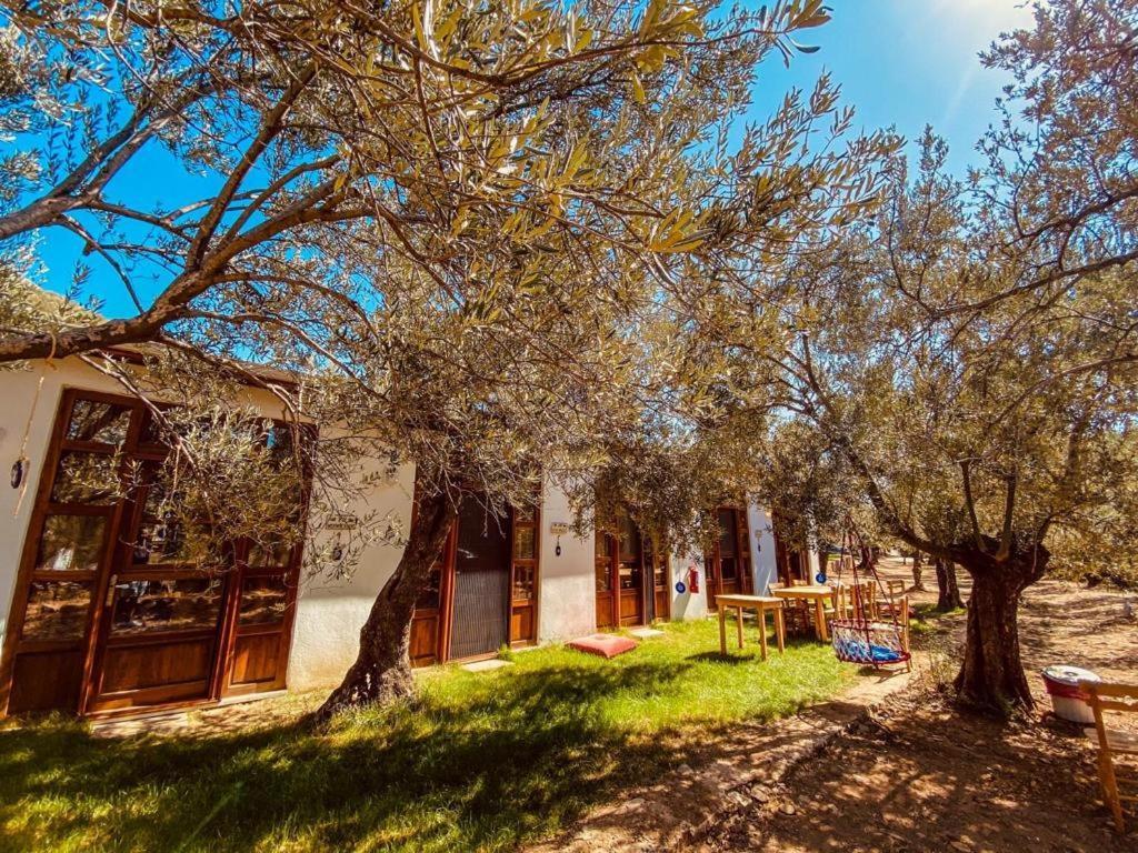 Hotel Yiva Kazdaglari Mehmetalani Exteriér fotografie